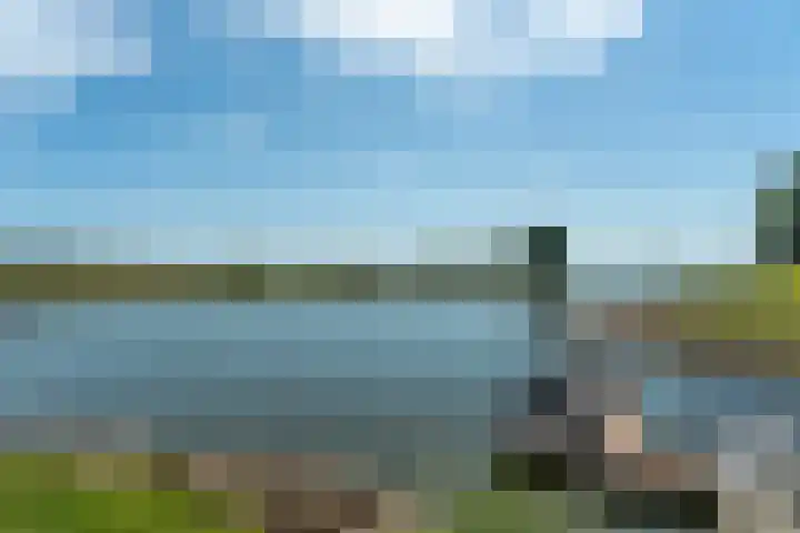 Lagestraat 7 Dieren thumbnail 75
