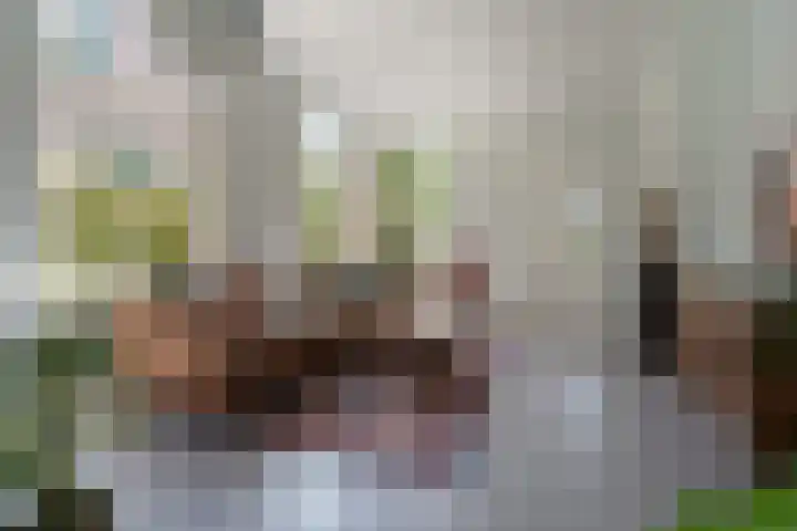 Lagestraat 7 Dieren thumbnail 8