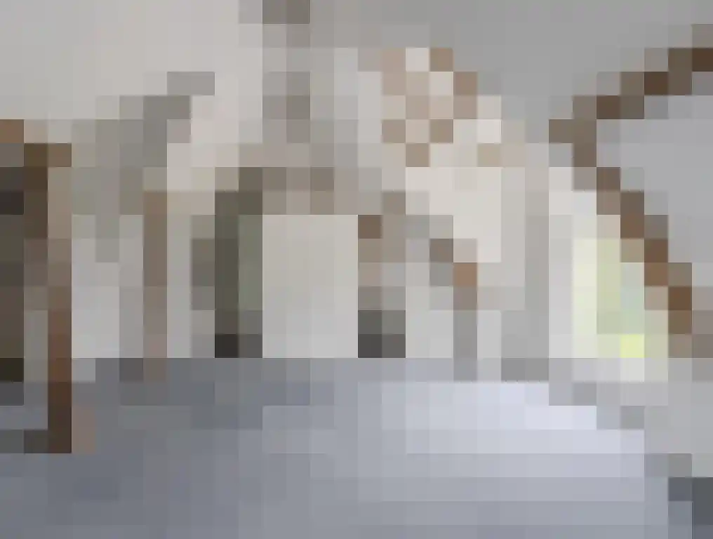 Lagestraat 7 Wapenveld thumbnail 21