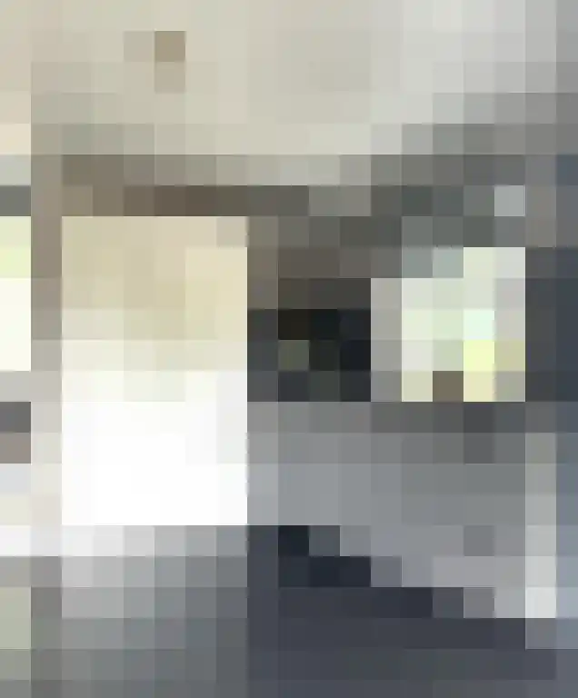 Lagestraat 7 Wapenveld thumbnail 27
