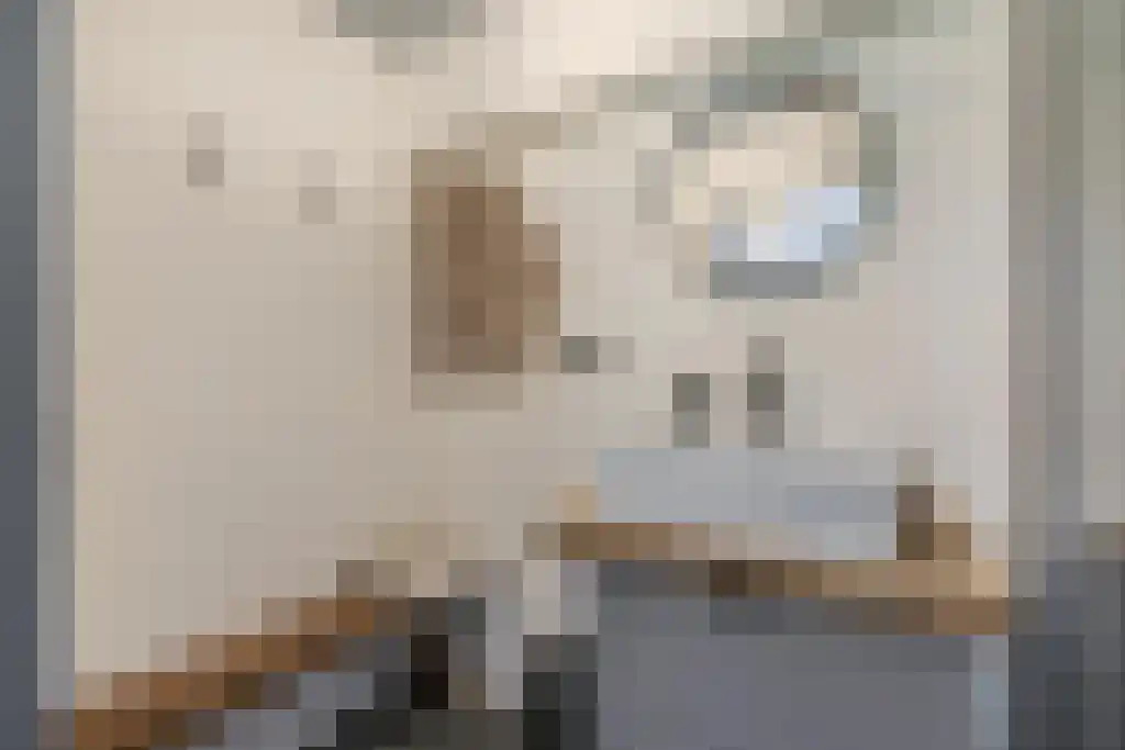Lagestraat 7 Wapenveld thumbnail 32