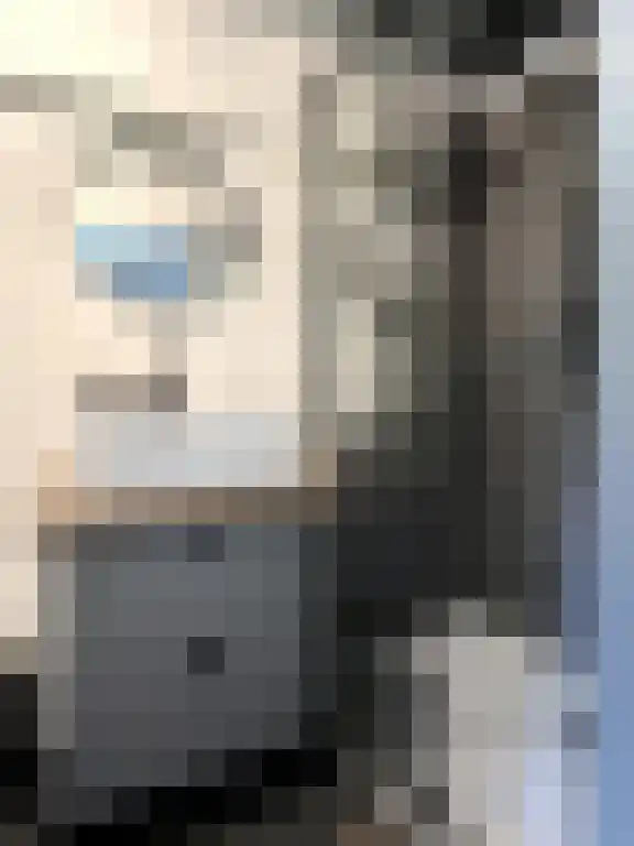 Lagestraat 7 Wapenveld thumbnail 33
