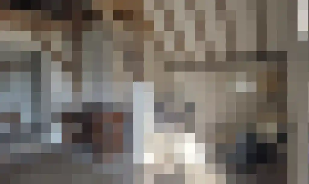 Lagestraat 7 Wapenveld thumbnail 45