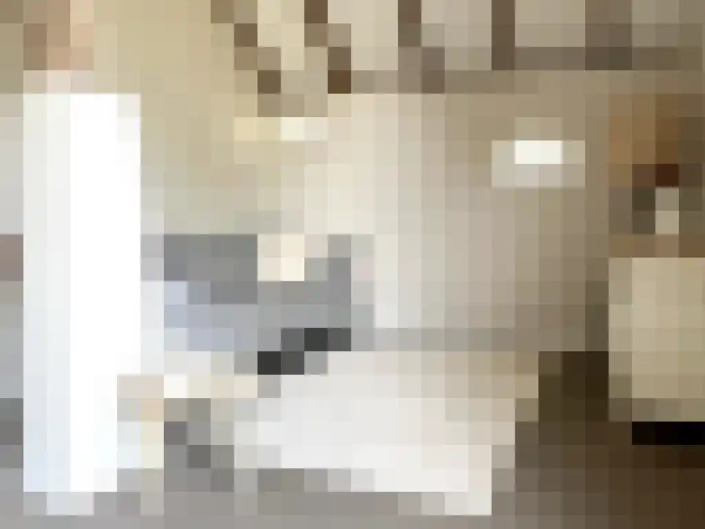 Lagestraat 7 Wapenveld thumbnail 46