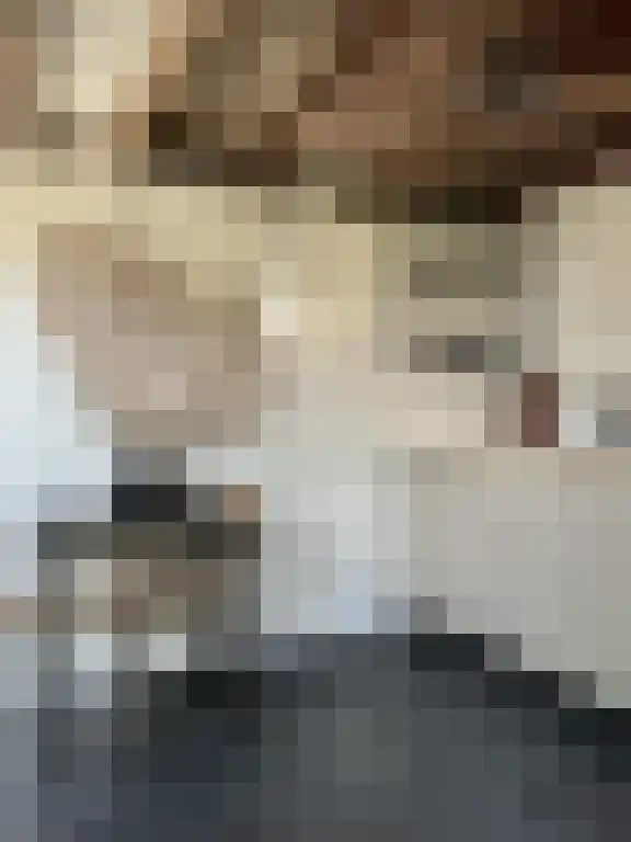 Lagestraat 7 Wapenveld thumbnail 51
