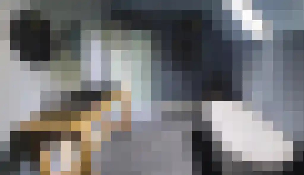 Lagestraat 7 Wapenveld thumbnail 54