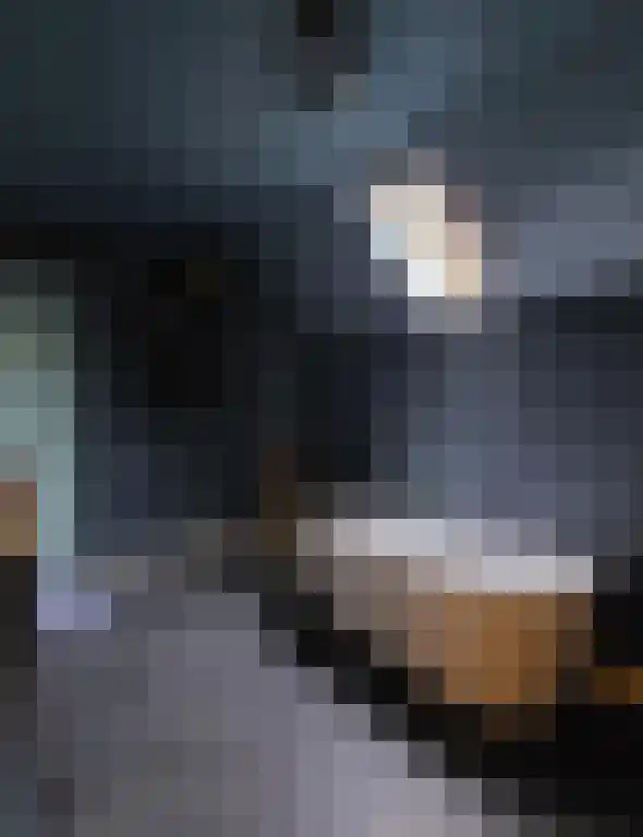 Lagestraat 7 Wapenveld thumbnail 56