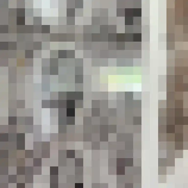 Lagestraat 7 Wapenveld thumbnail 6
