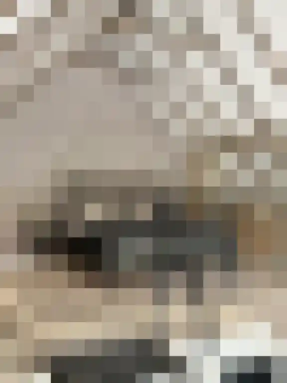 Lagestraat 7 Wapenveld thumbnail 60