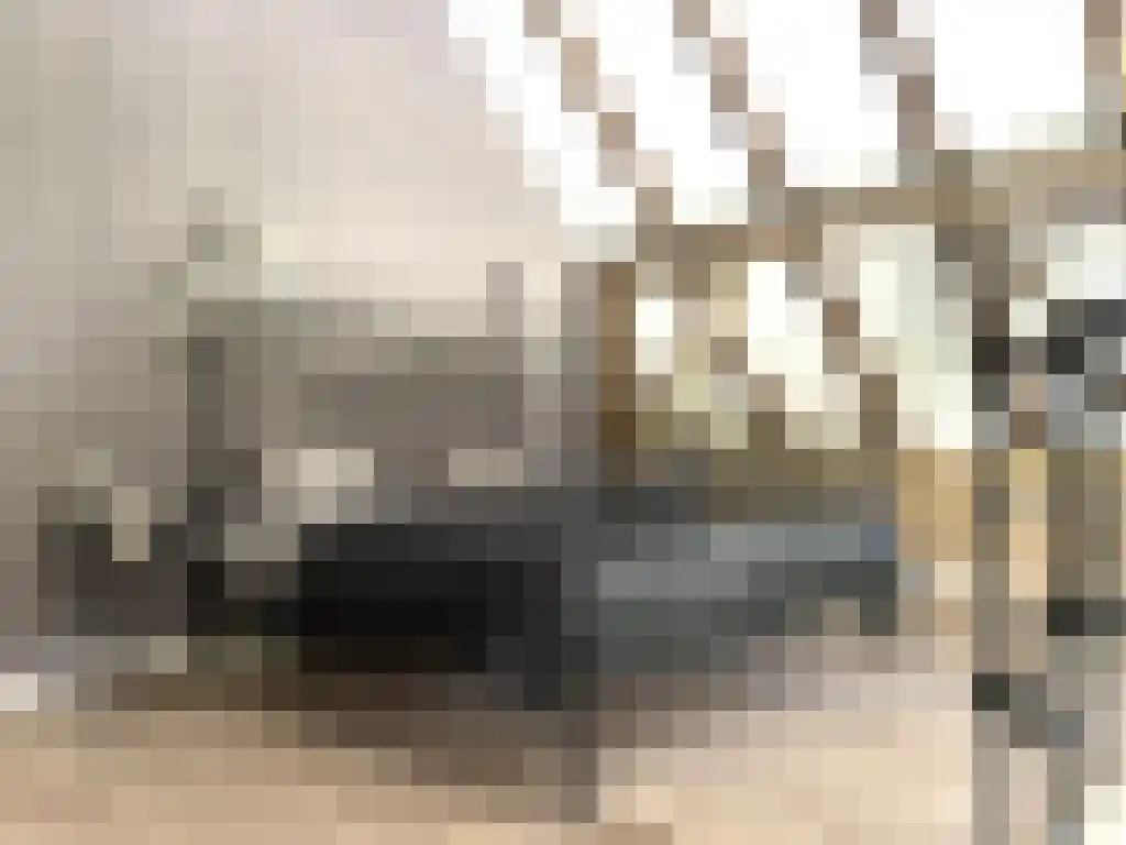 Lagestraat 7 Wapenveld thumbnail 61
