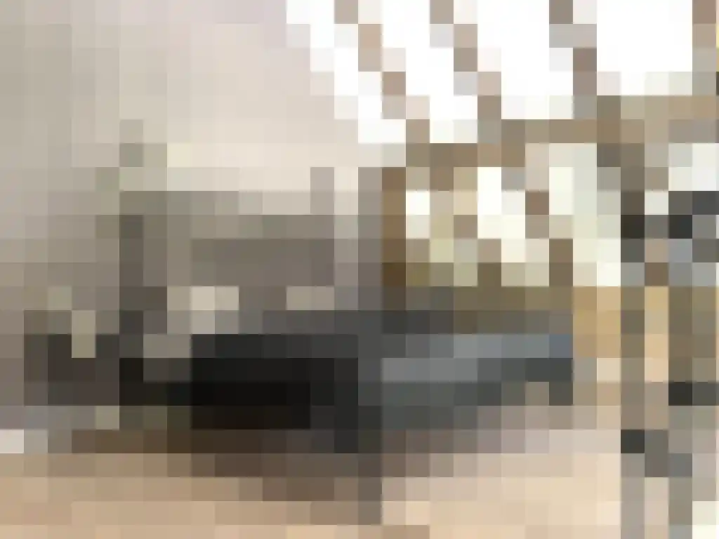 Lagestraat 7 Wapenveld thumbnail 61