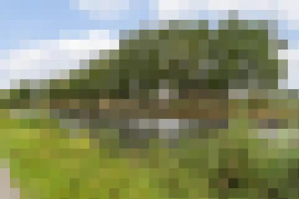 Lagestraat 7 Wapenveld thumbnail 77