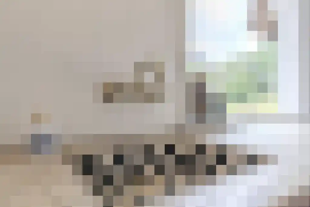 Lagestraat 7 Wapenveld thumbnail 8