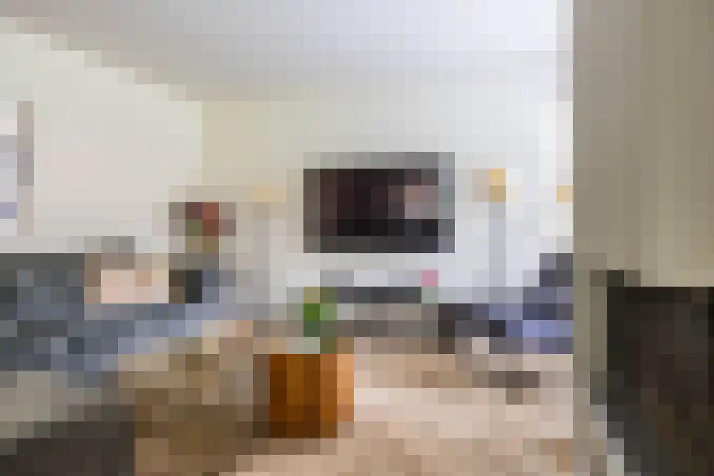 Lagestukken 2 Eelde thumbnail 16
