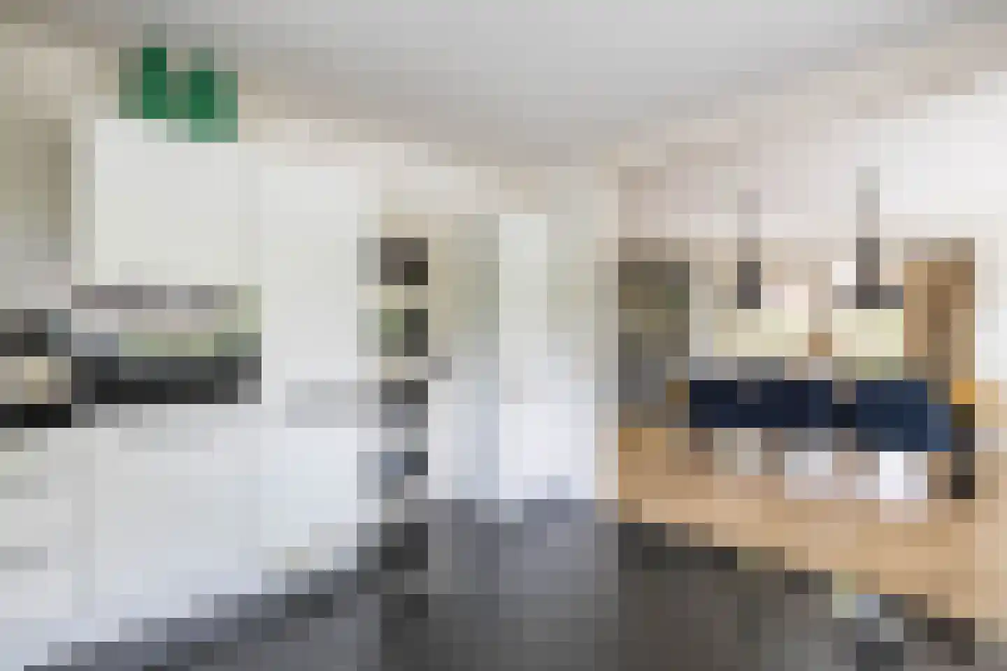 Lagestukken 2 Eelde thumbnail 27