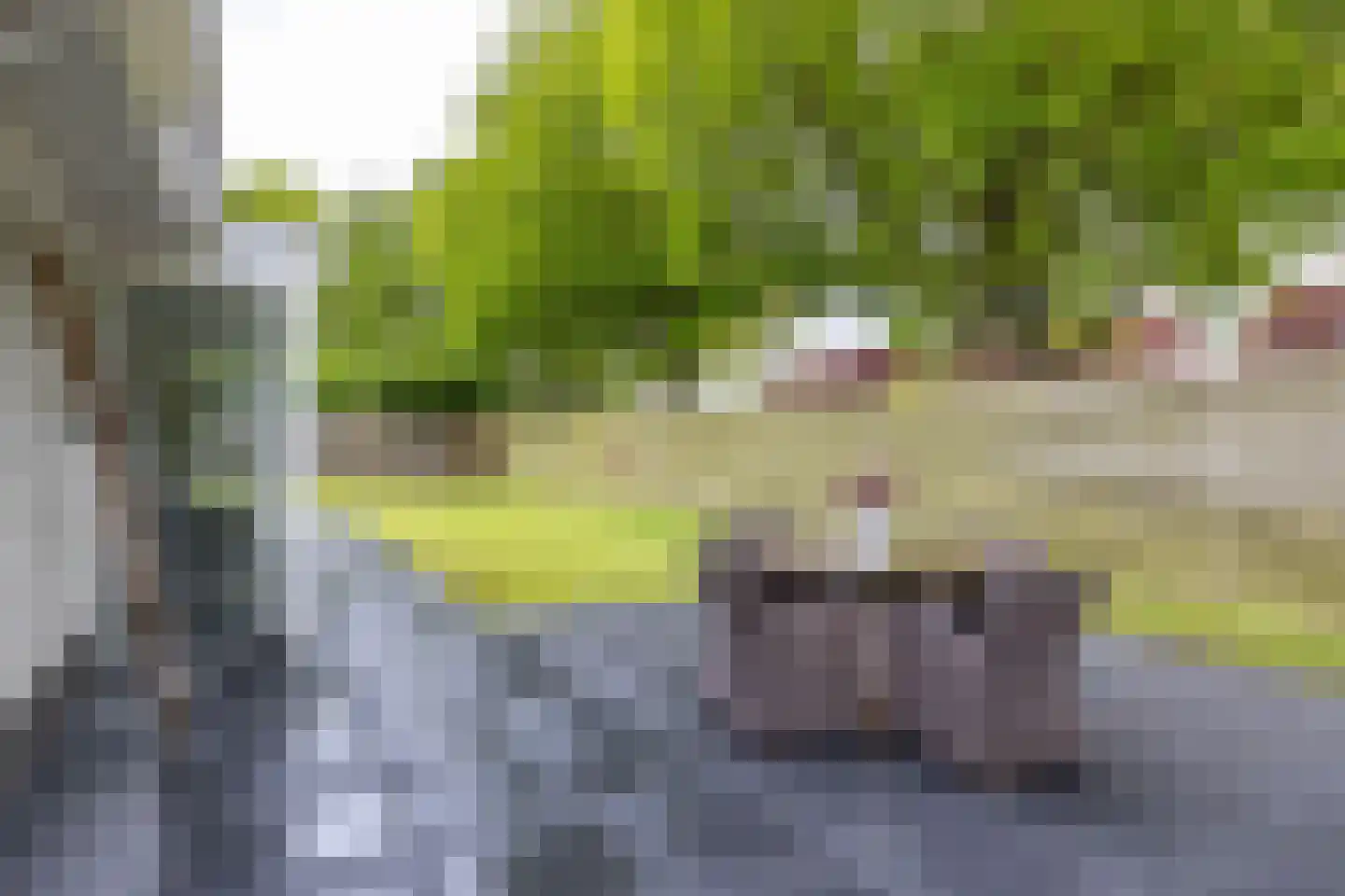 Lagestukken 2 Eelde thumbnail 34