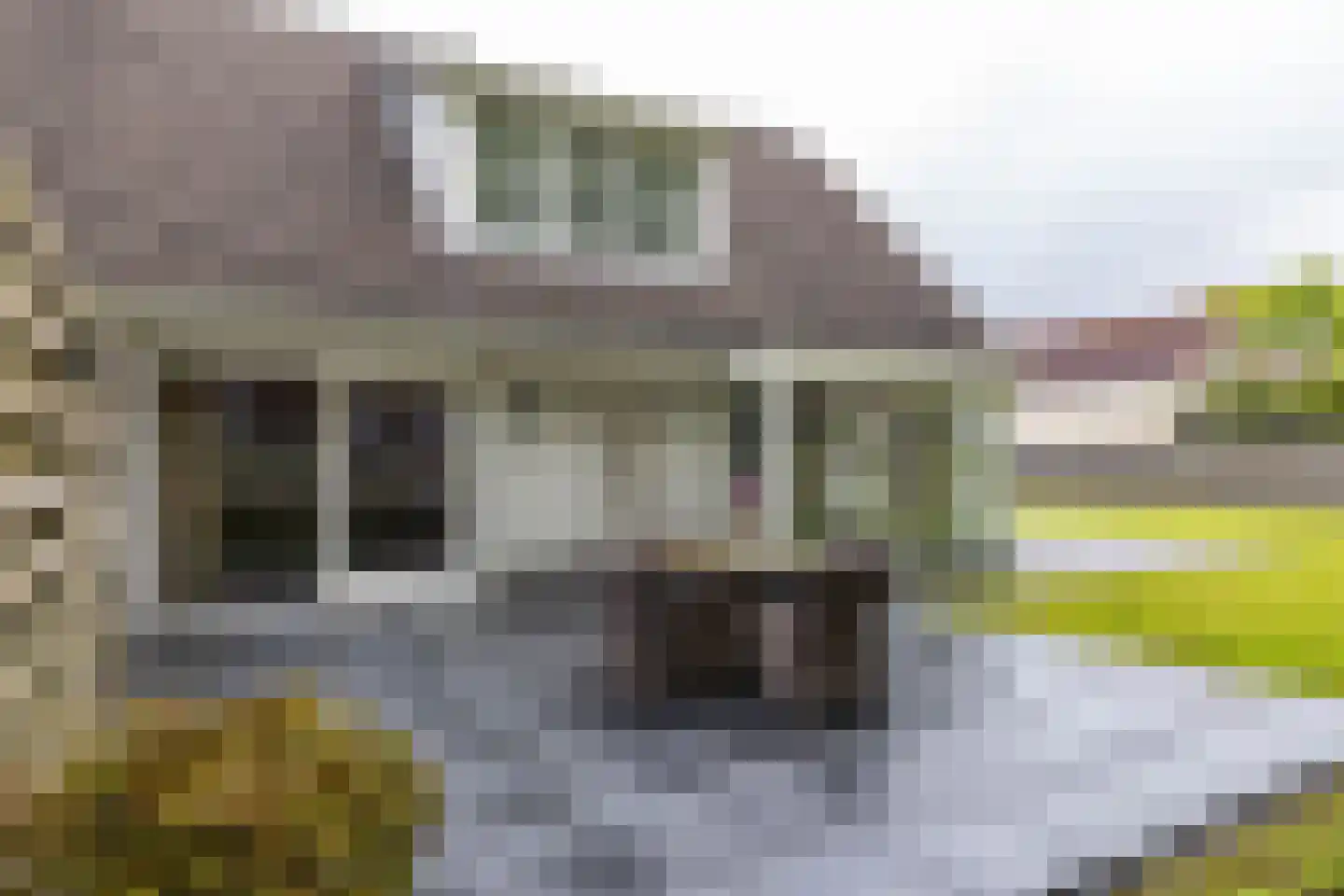 Lagestukken 2 Eelde thumbnail 36