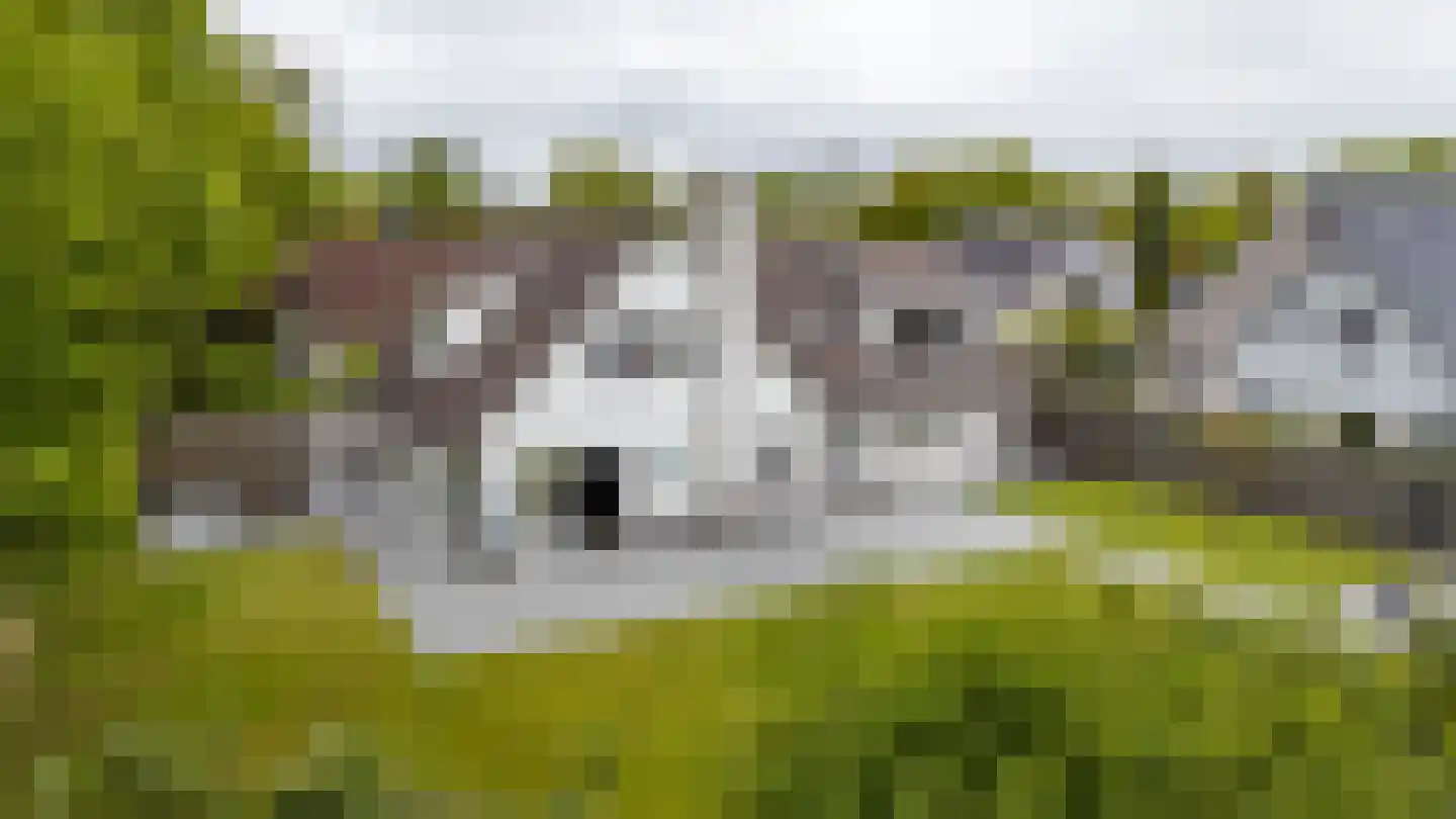 Lagestukken 2 Eelde thumbnail 37