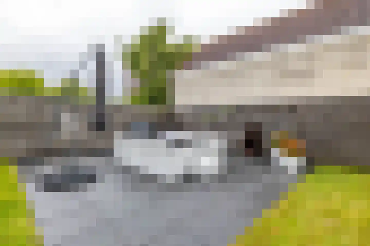Lagestukken 2 Eelde thumbnail 40