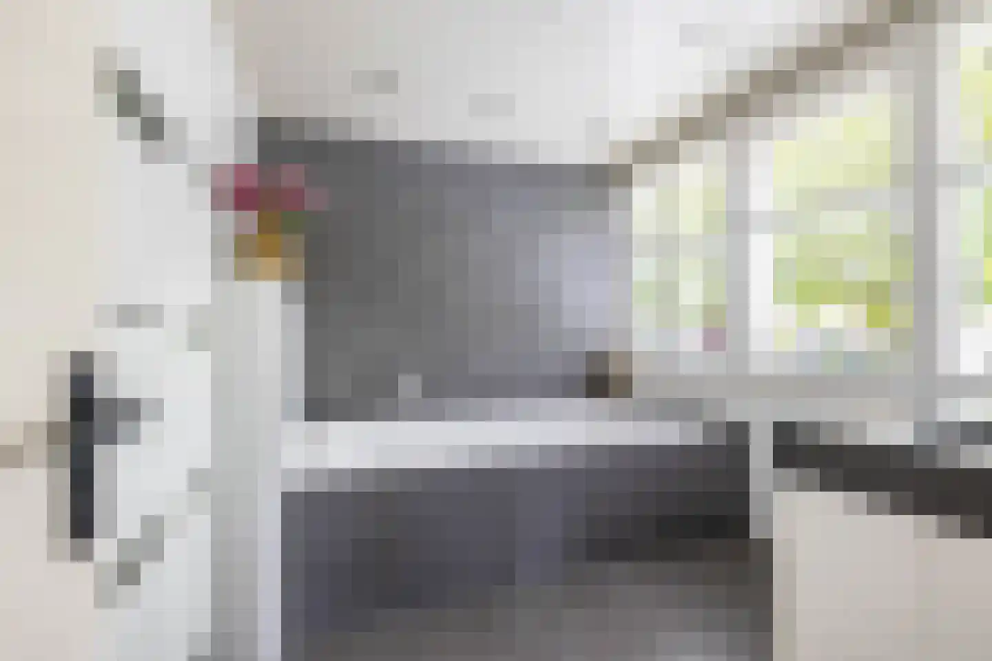 Lagestukken 2 Eelde thumbnail 48