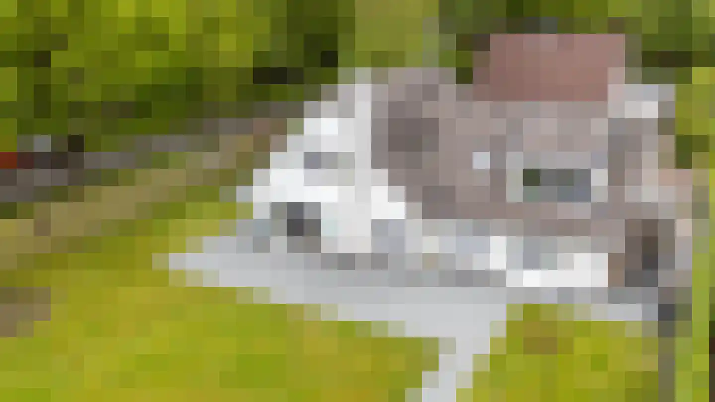 Lagestukken 2 Eelde thumbnail 6