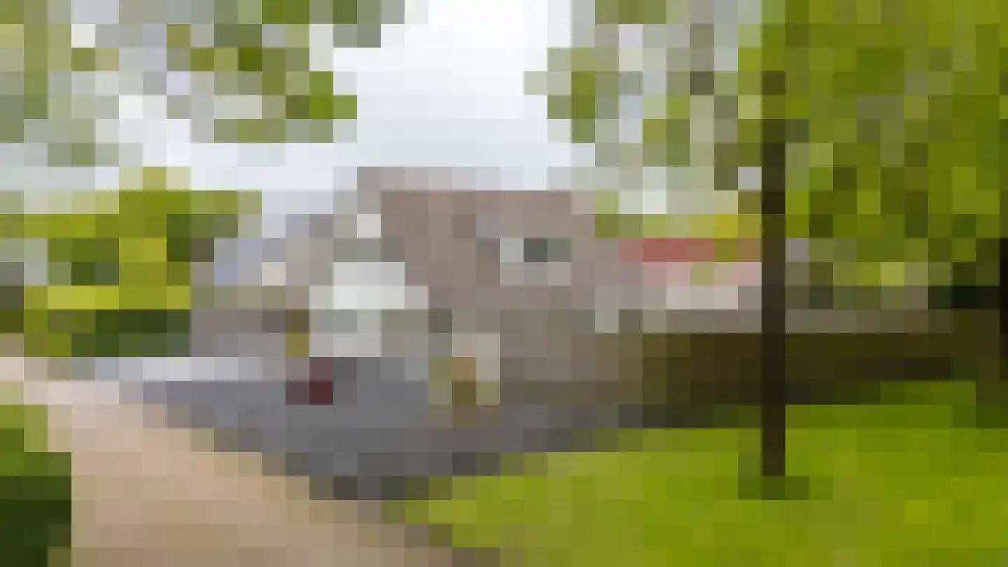 Lagestukken 2 Eelde thumbnail 8