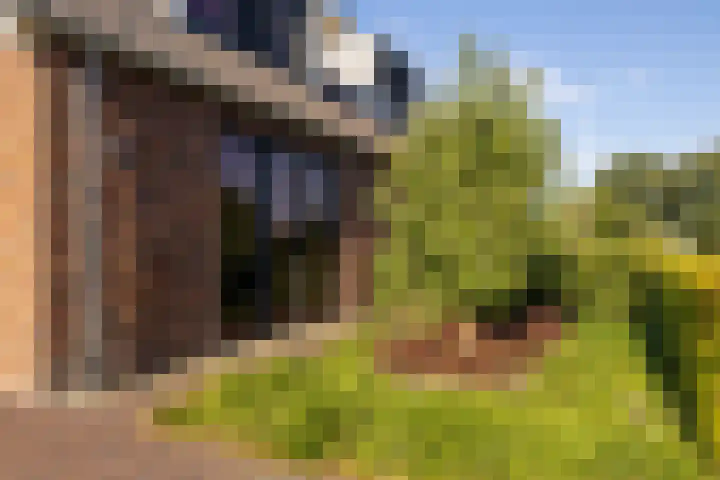 Lageveld 4 b Ermelo thumbnail 15