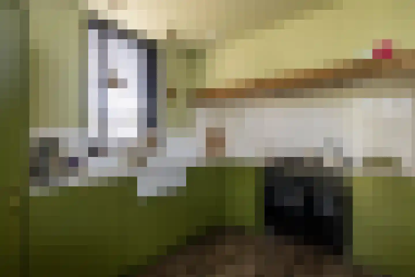 Lageveld 4 b Ermelo thumbnail 25
