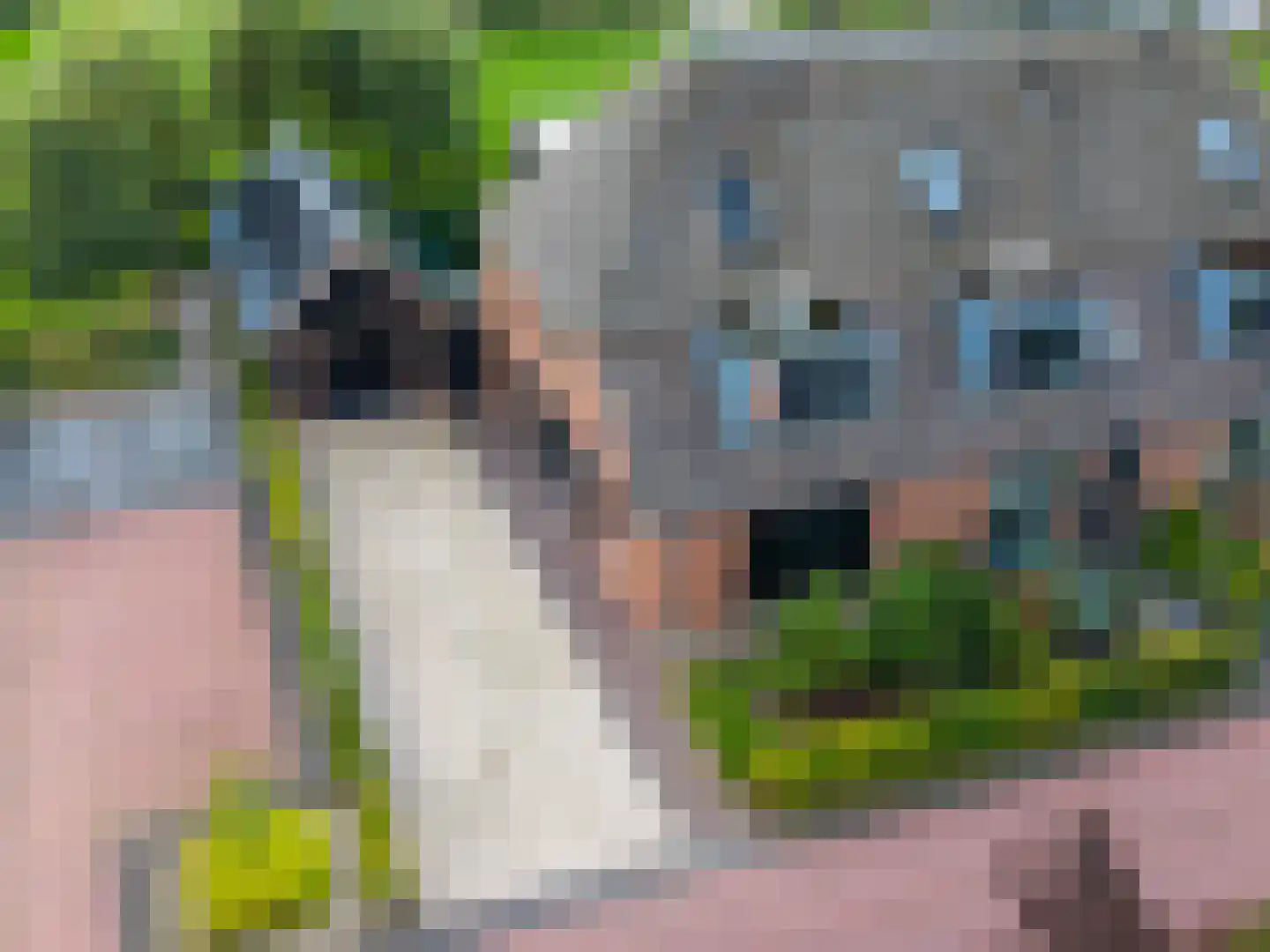 Lageveld 4 b Ermelo thumbnail 5