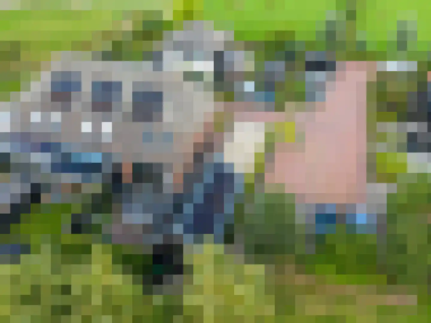 Lageveld 4 b Ermelo thumbnail 6