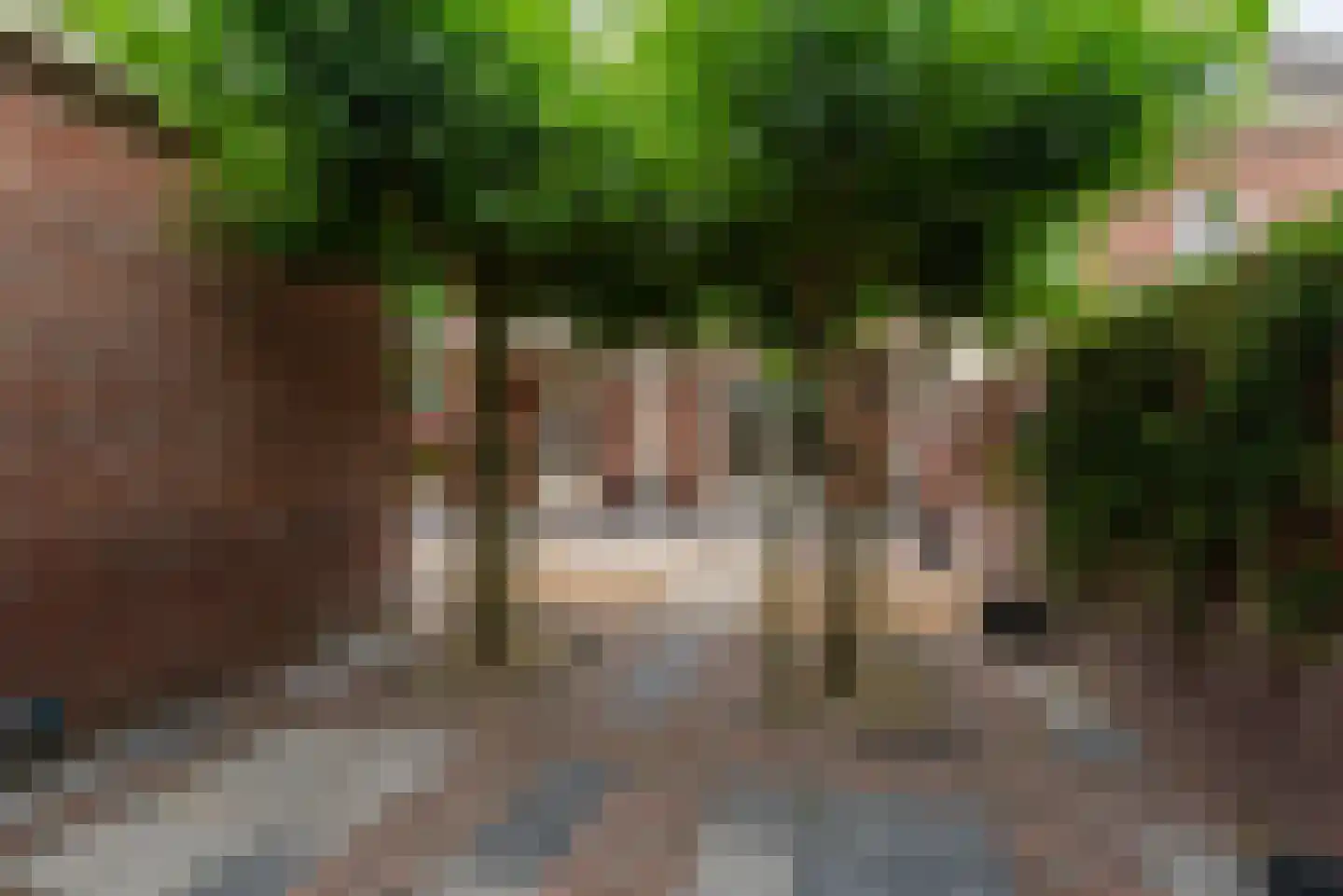 Lagevoort 2 Helmond thumbnail 62