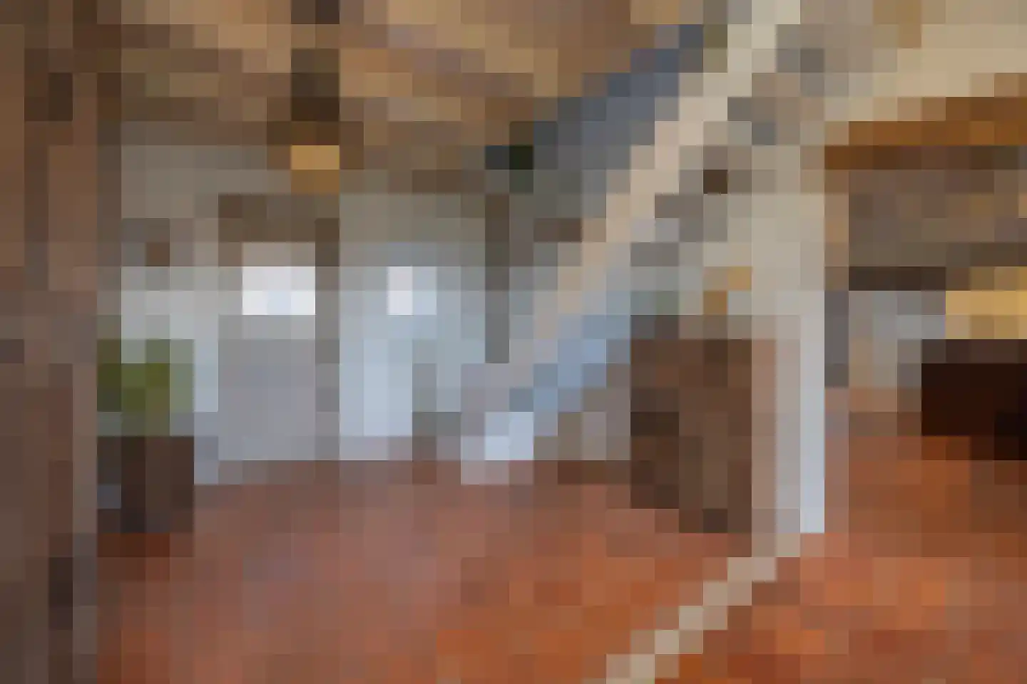 Lagevoortseweg 6 Liempde thumbnail 13