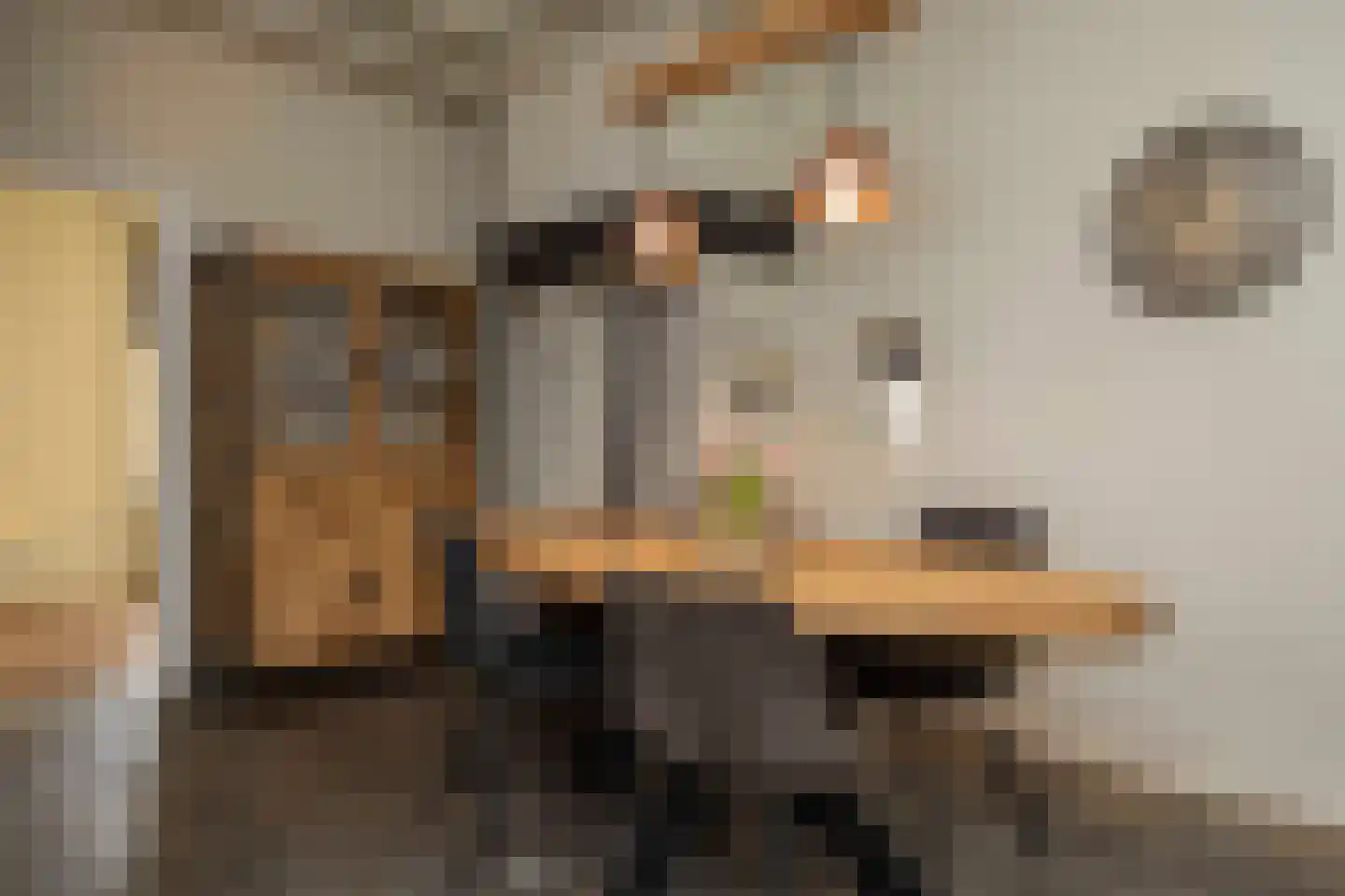 Lagevoortseweg 6 Liempde thumbnail 18