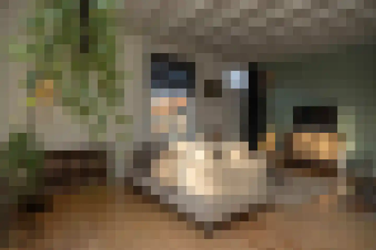 Lagevoortseweg 6 Liempde thumbnail 19