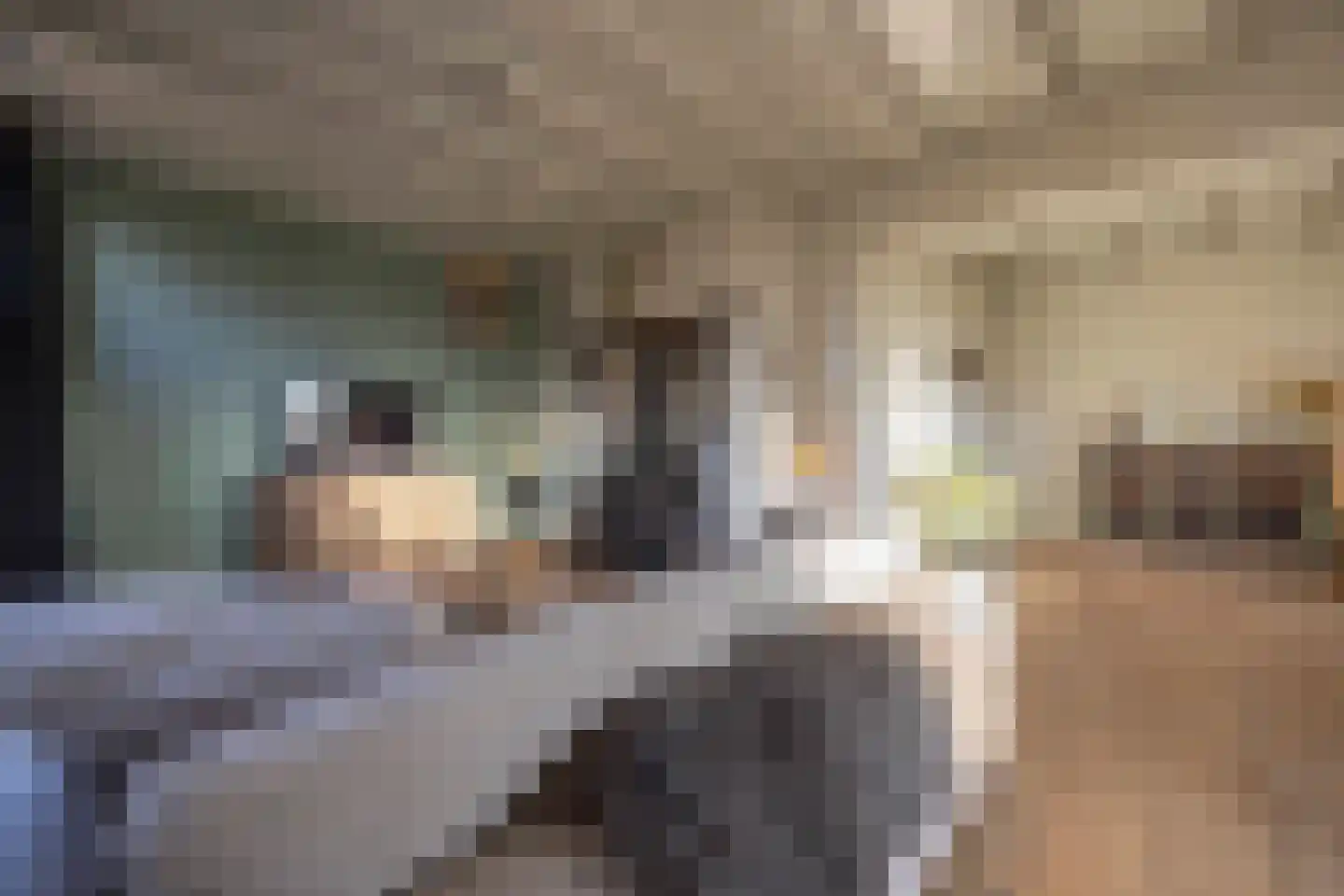 Lagevoortseweg 6 Liempde thumbnail 20