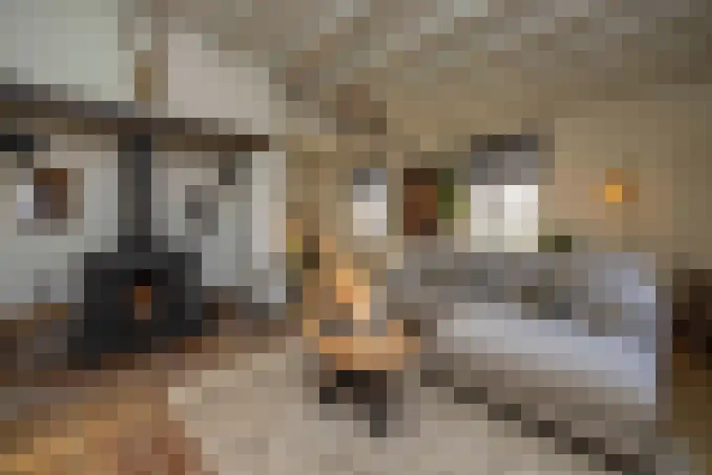 Lagevoortseweg 6 Liempde thumbnail 21