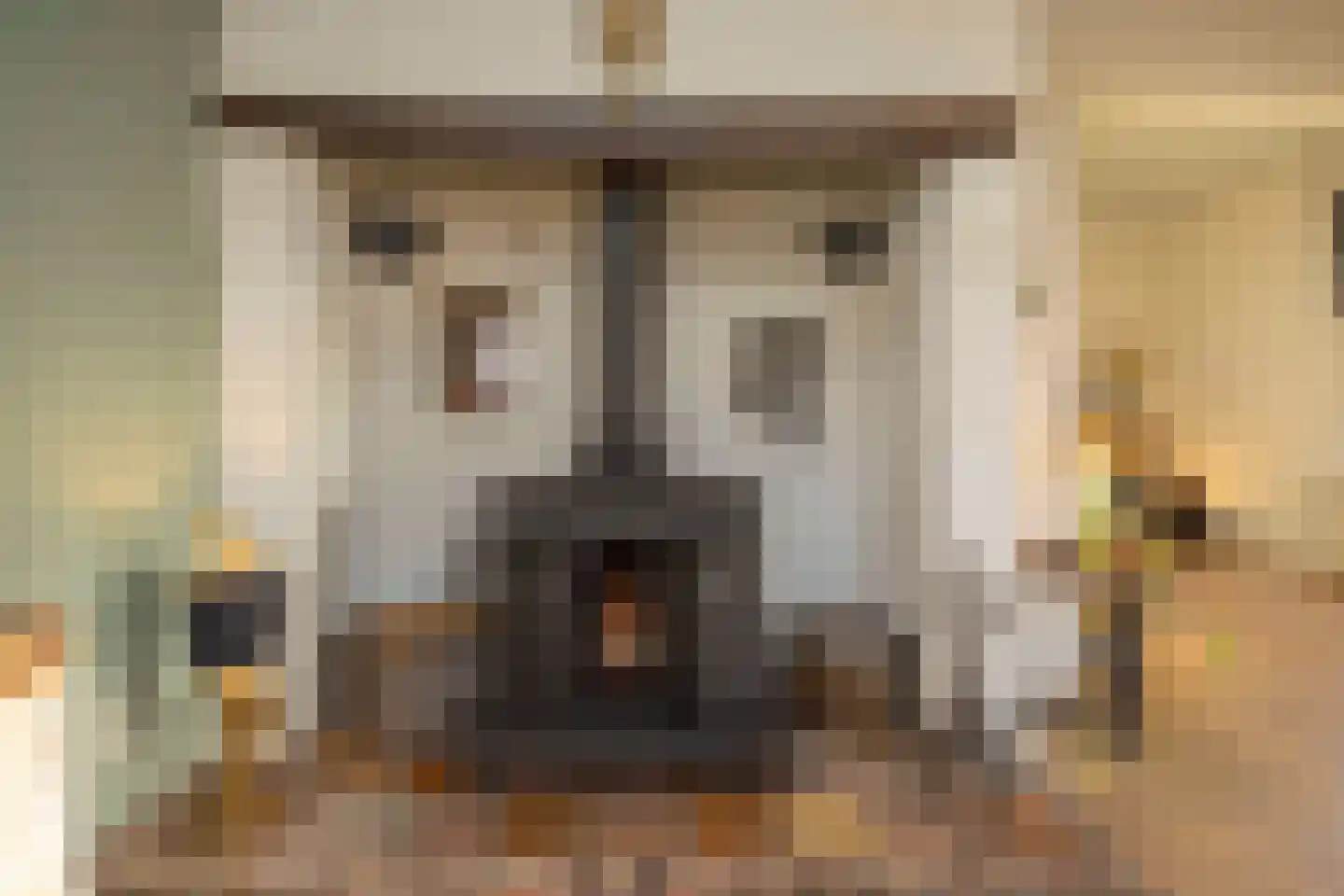 Lagevoortseweg 6 Liempde thumbnail 22