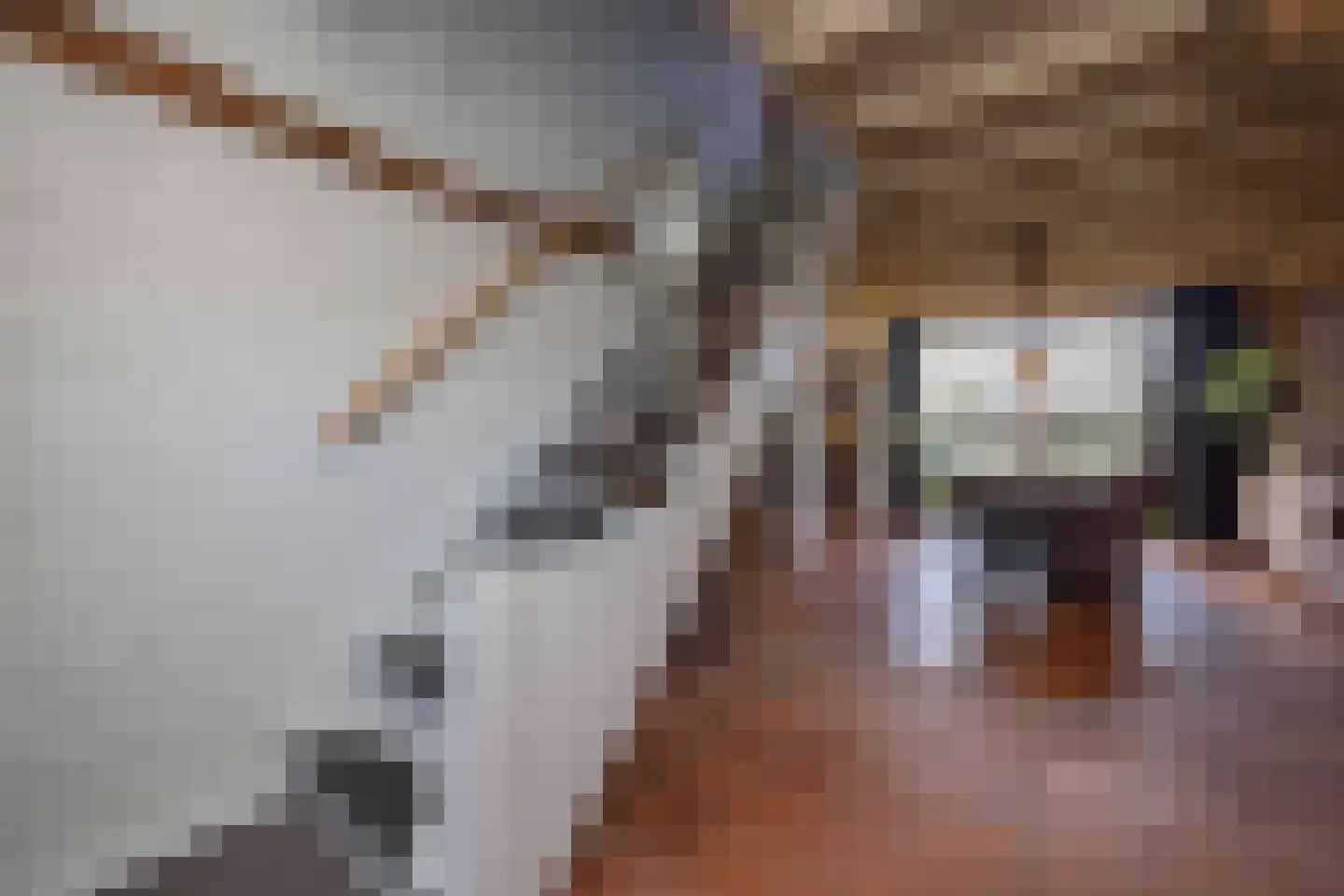 Lagevoortseweg 6 Liempde thumbnail 24