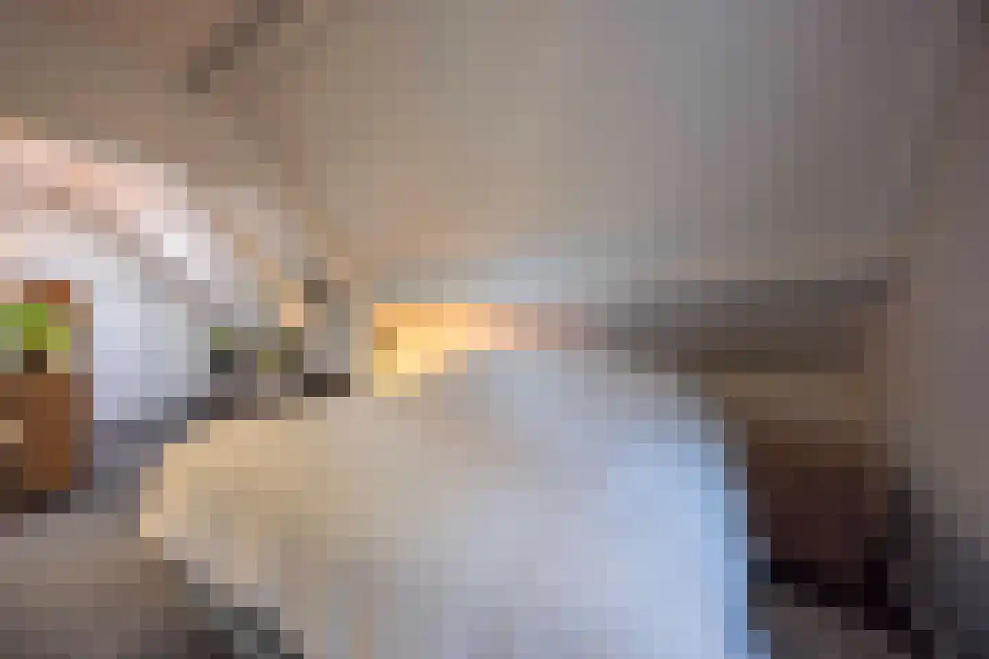 Lagevoortseweg 6 Liempde thumbnail 26