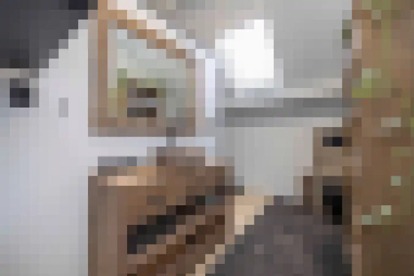 Lagevoortseweg 6 Liempde thumbnail 29