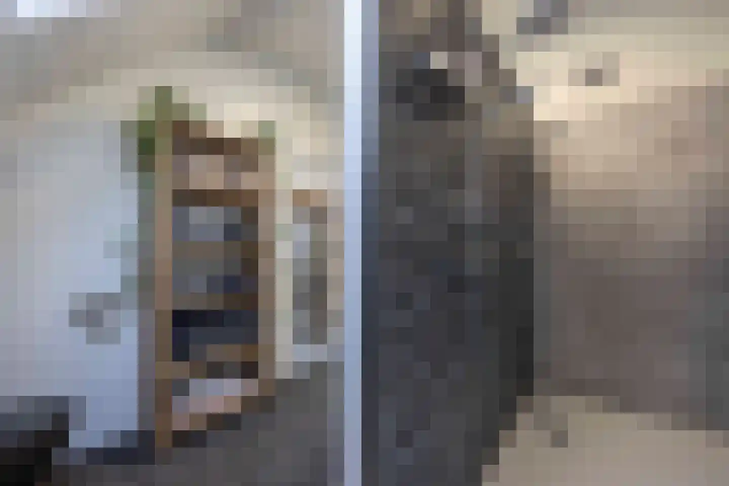 Lagevoortseweg 6 Liempde thumbnail 31