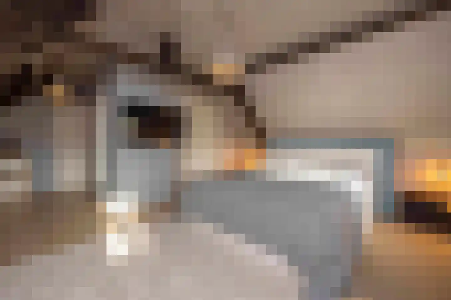 Lagevoortseweg 6 Liempde thumbnail 32