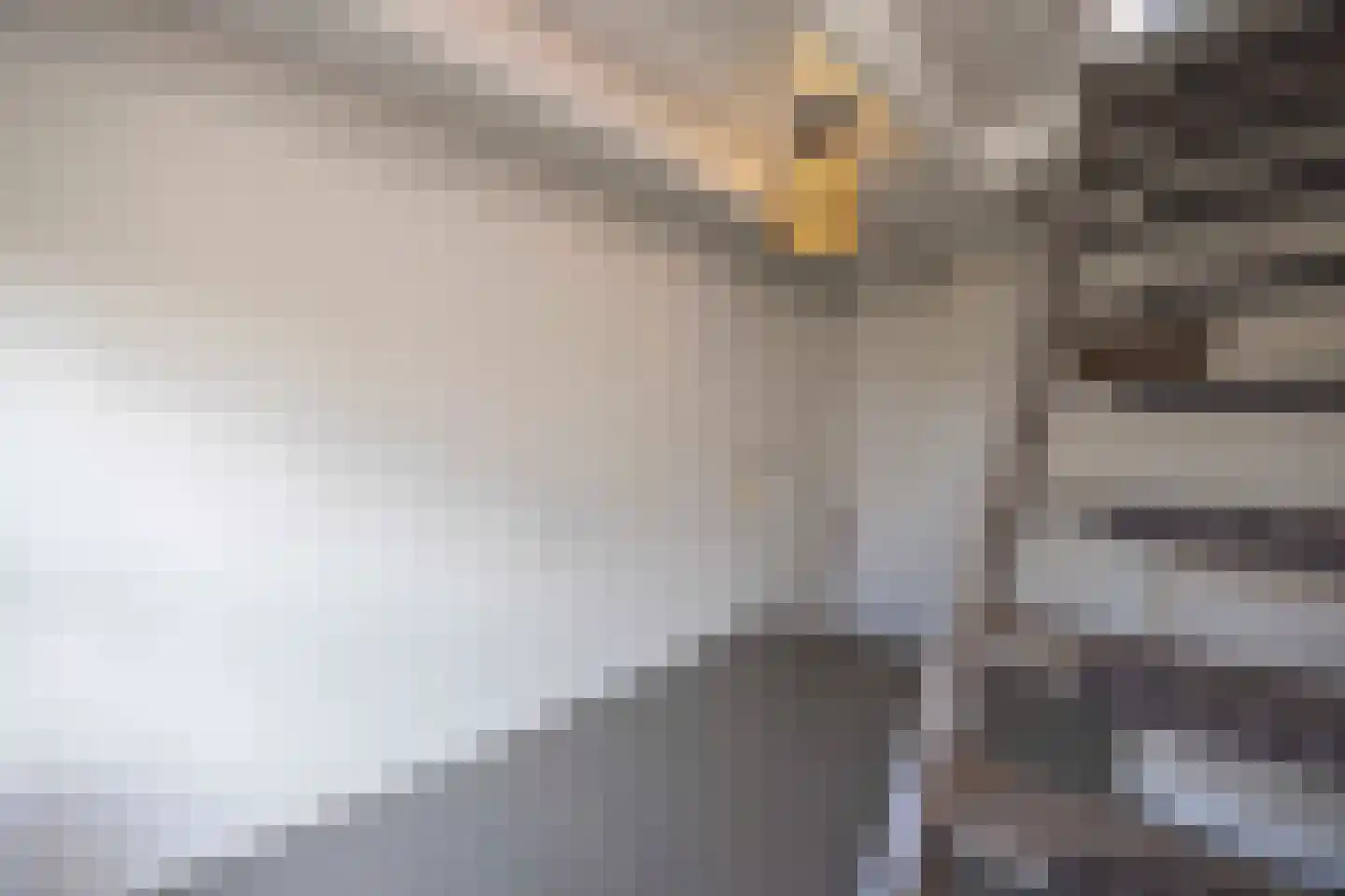 Lagevoortseweg 6 Liempde thumbnail 36