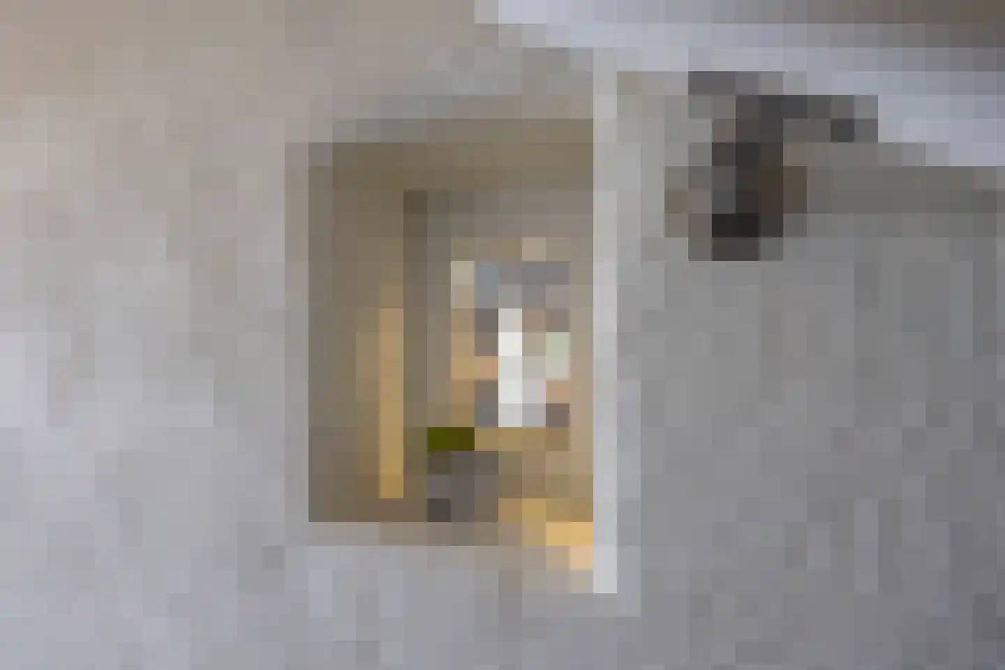 Lagevoortseweg 6 Liempde thumbnail 39