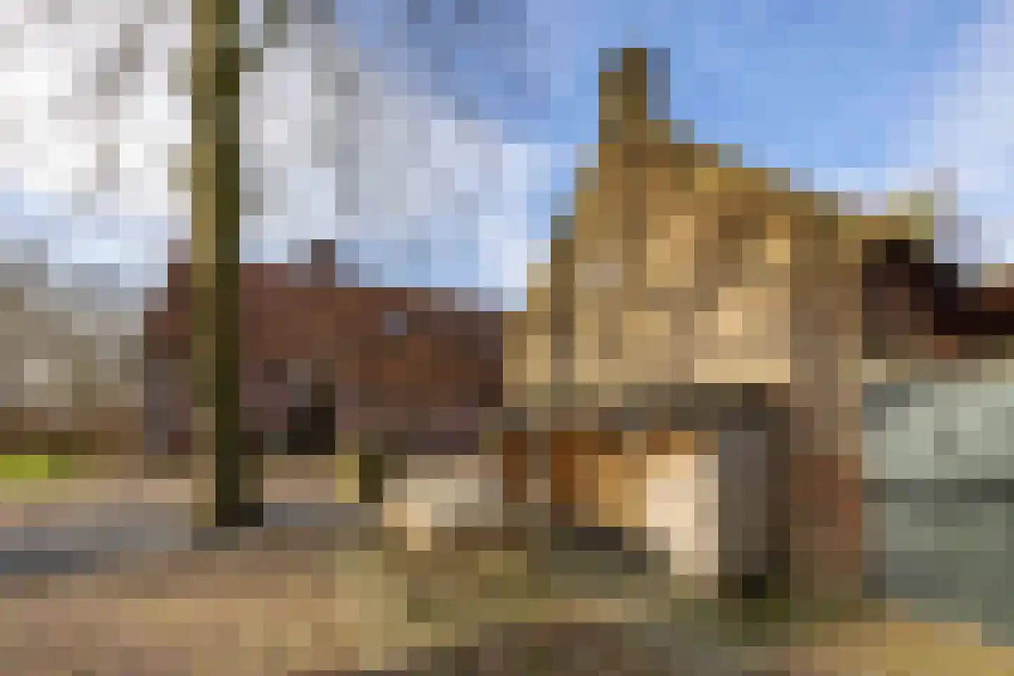 Lagevoortseweg 6 Liempde thumbnail 41