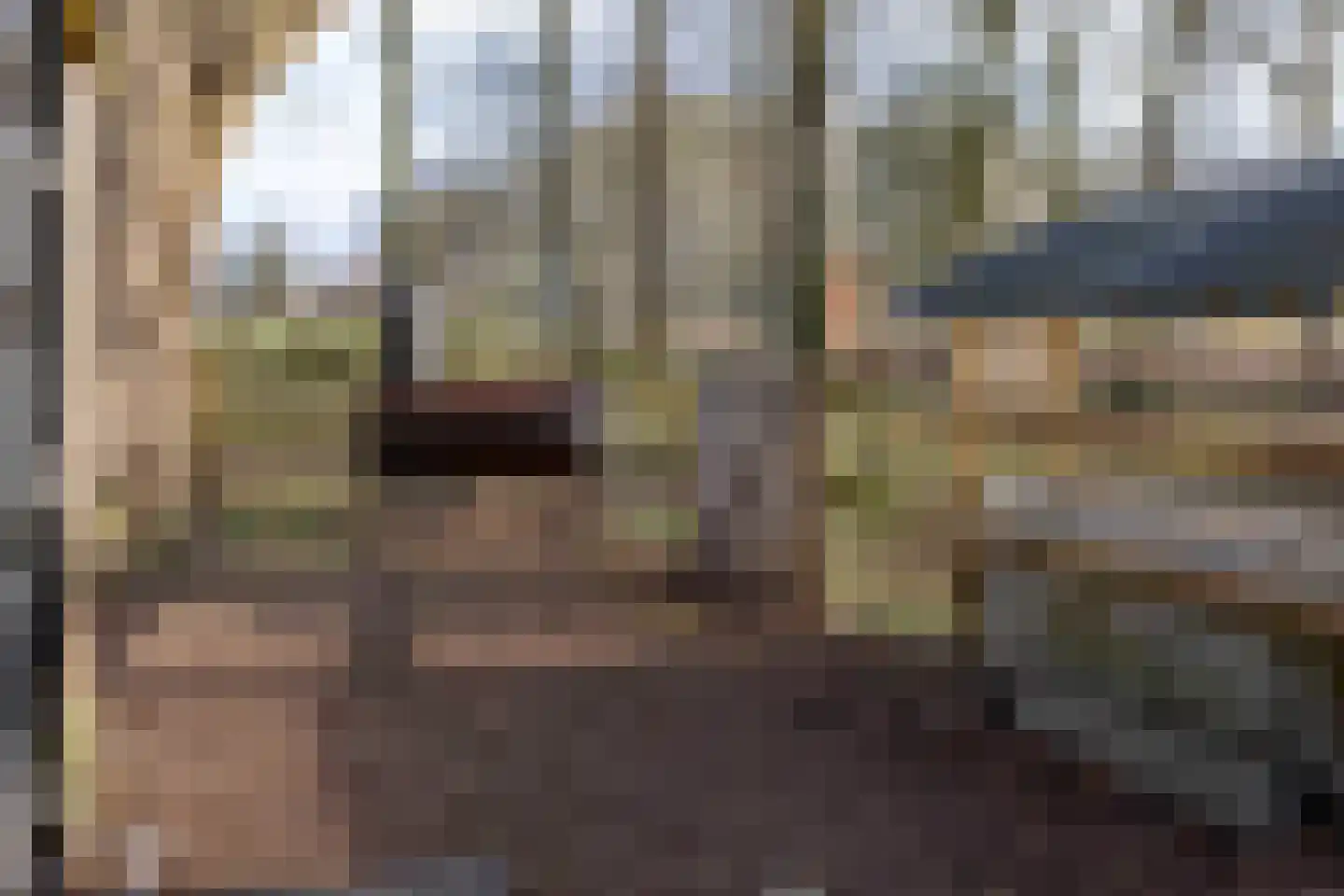 Lagevoortseweg 6 Liempde thumbnail 46