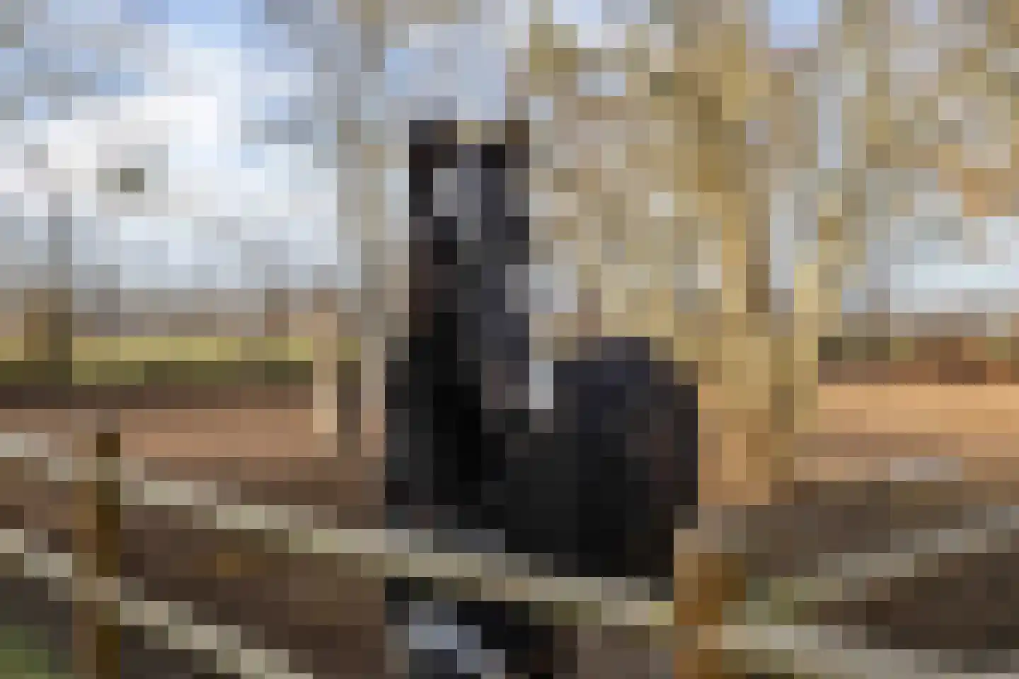 Lagevoortseweg 6 Liempde thumbnail 49