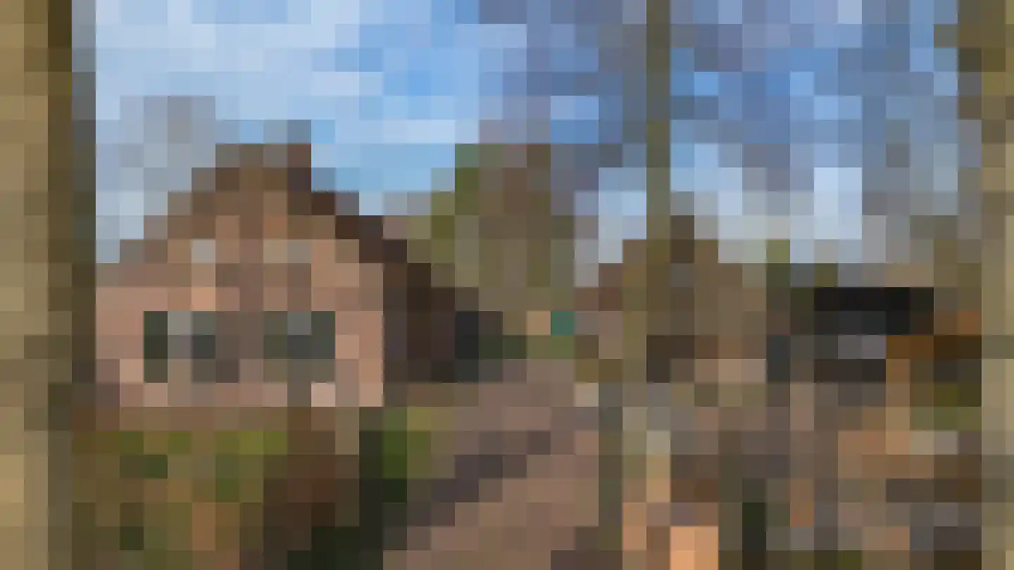 Lagevoortseweg 6 Liempde thumbnail 5