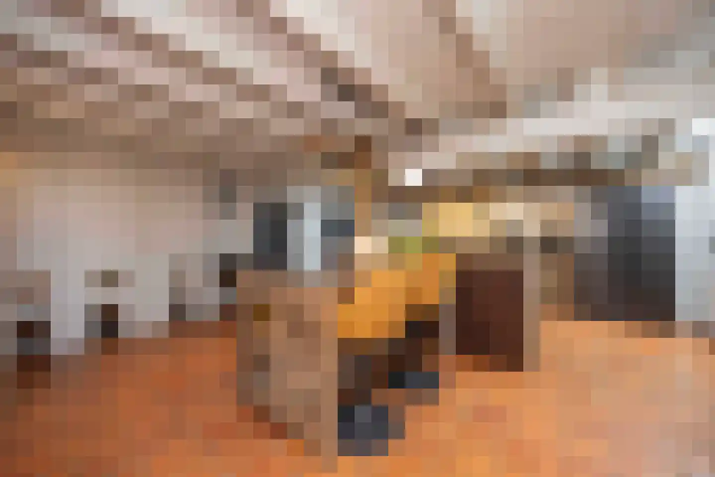 Lagevoortseweg 6 Liempde thumbnail 9