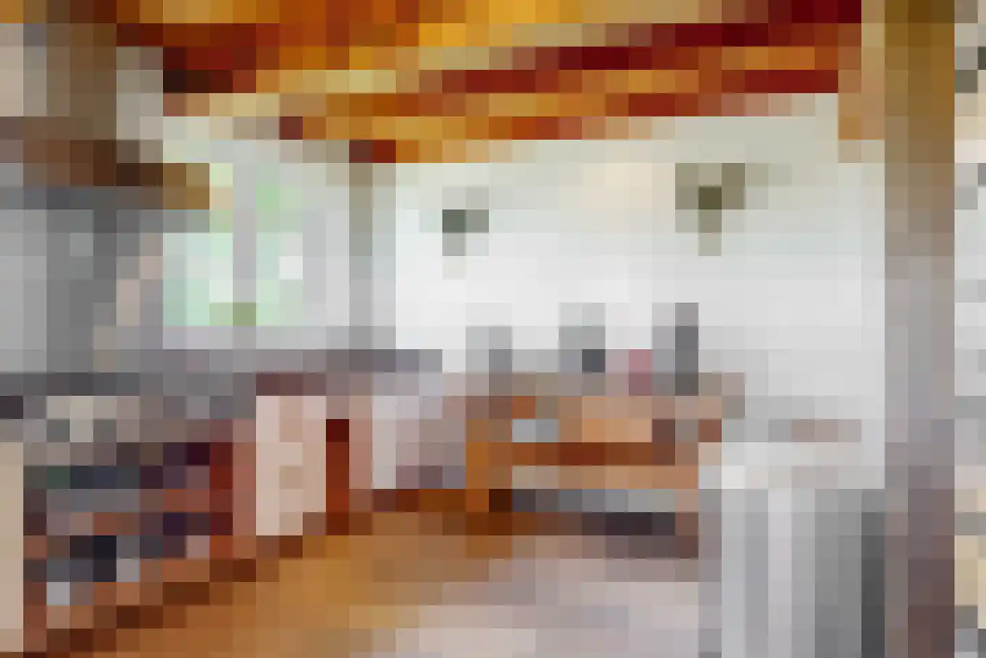 Lagewaard 28 Koudekerk aan den Rijn thumbnail 15